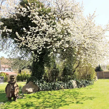 Ostseeresidenz 16 * Wischuer